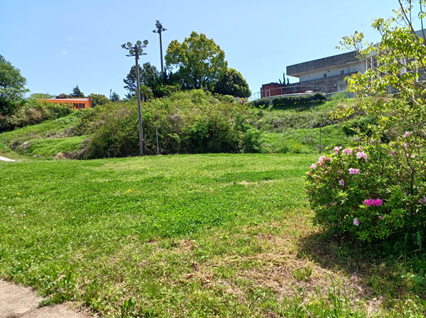 実技講習会場写真